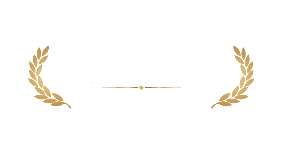 Víťaz LA Film Awards 2016 — najlepší hudobný videoklip